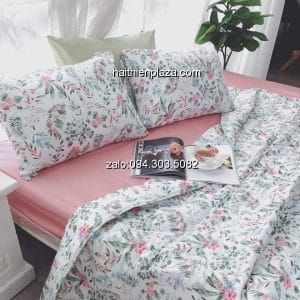 Chăn ga cotton hàn may theo yêu cầu 895 Chan ga cotton han may theo yeu cau